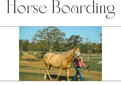 Split Oak Ranch horse boarding graphic featuring a horse in a grassy pasture